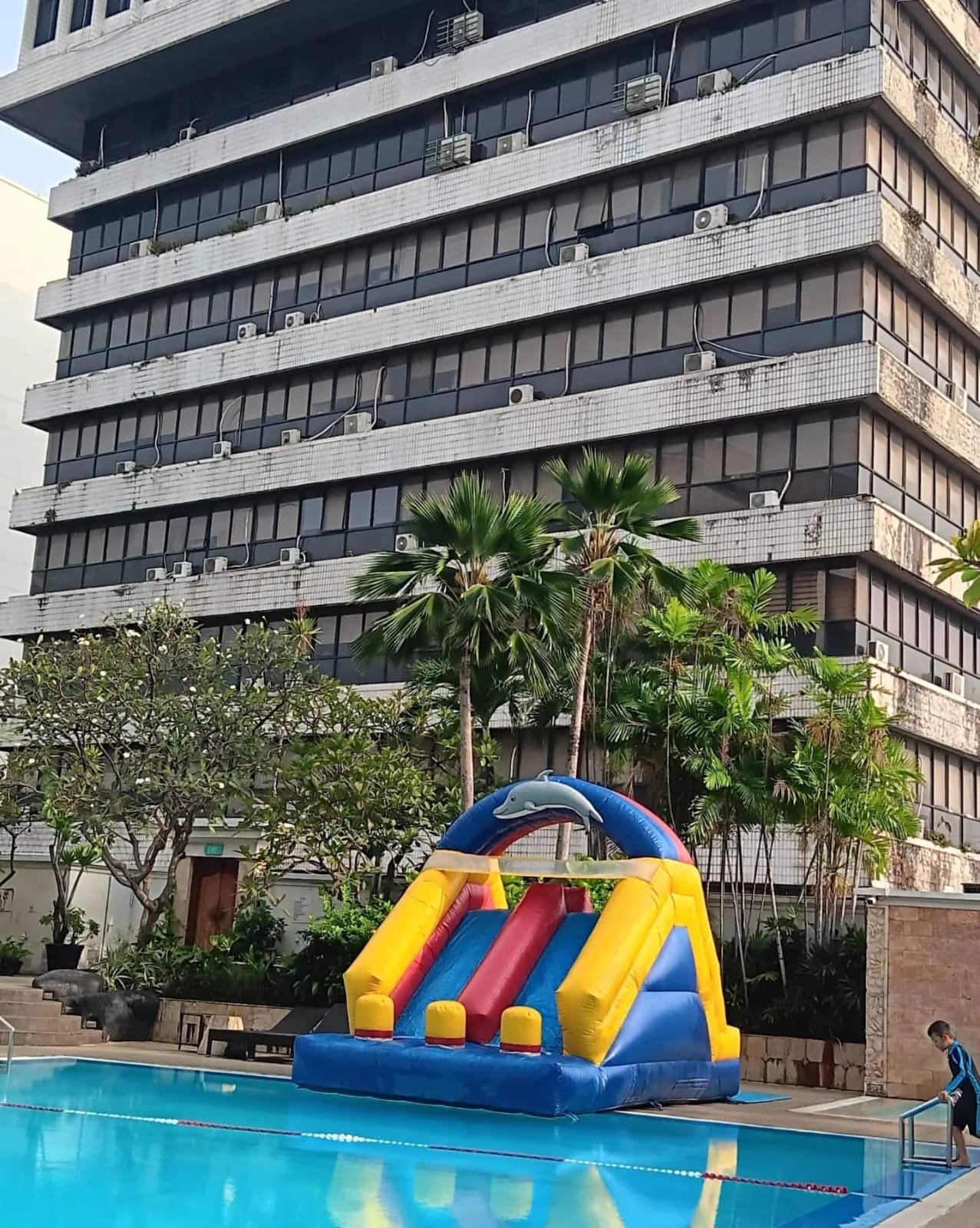 Rental Unit Permainan Dolphin Kategori Bounching Inflatables | Sewa Game Event - Global Master Game - Global Master Game