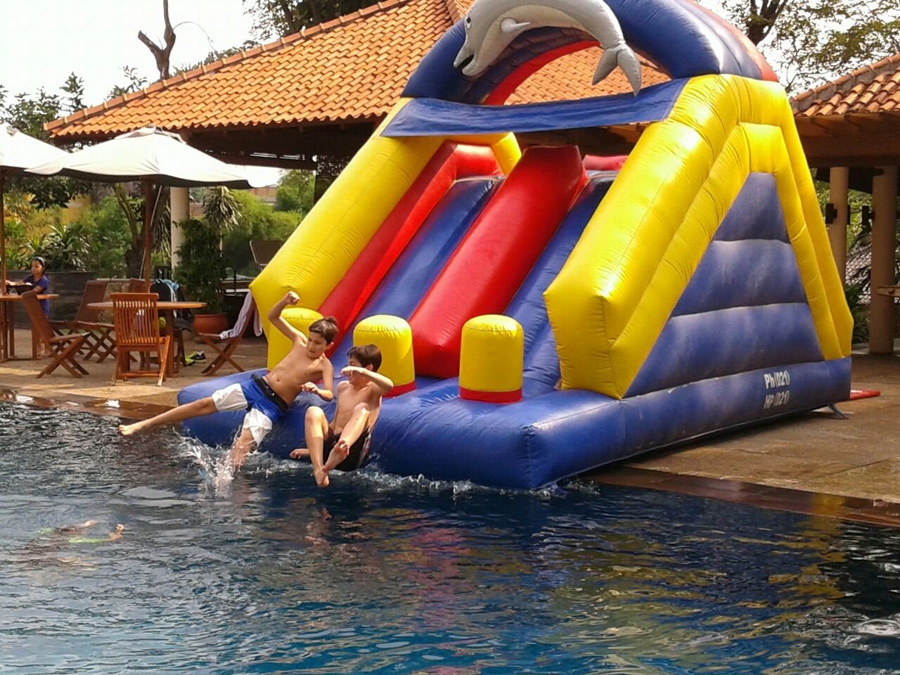 Foto Unit Dolphin - Global Master Game