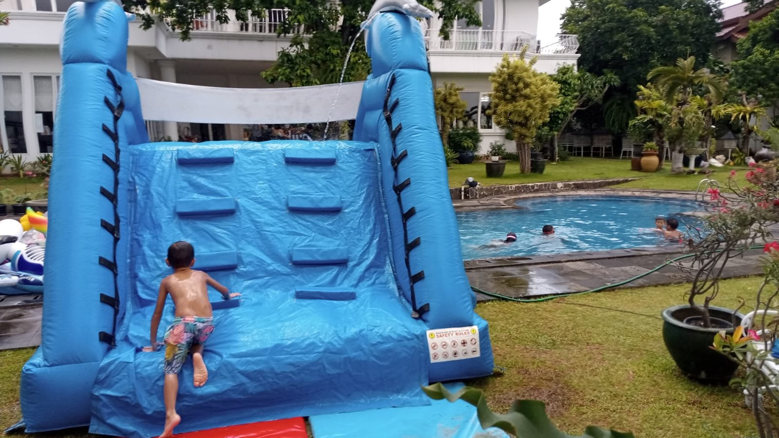 Foto Unit Dolphin Blue - Global Master Game